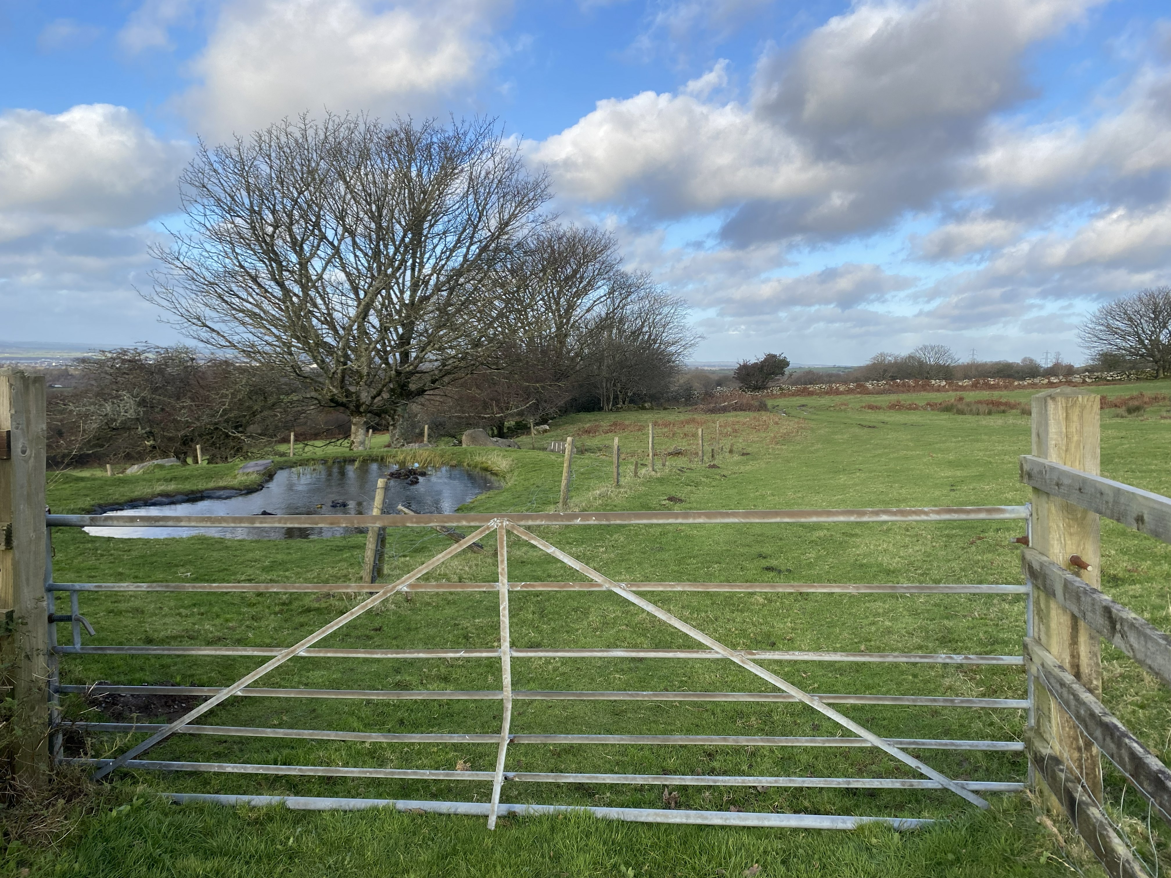The original unkempt area