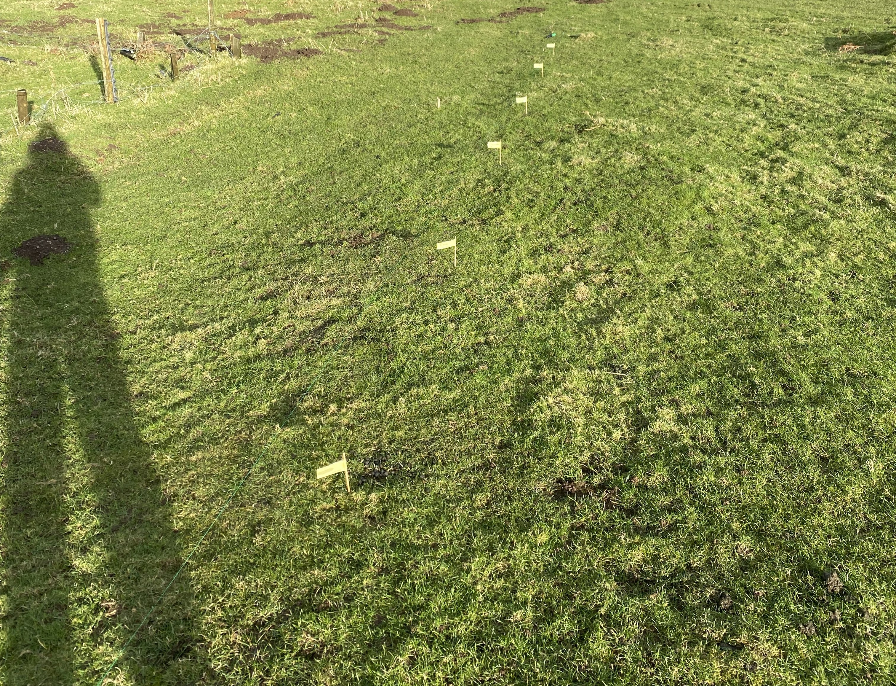 Marking the ground